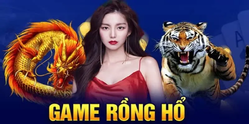 Cách thắng bài Rồng Hổ từ cao thủ để bất bại